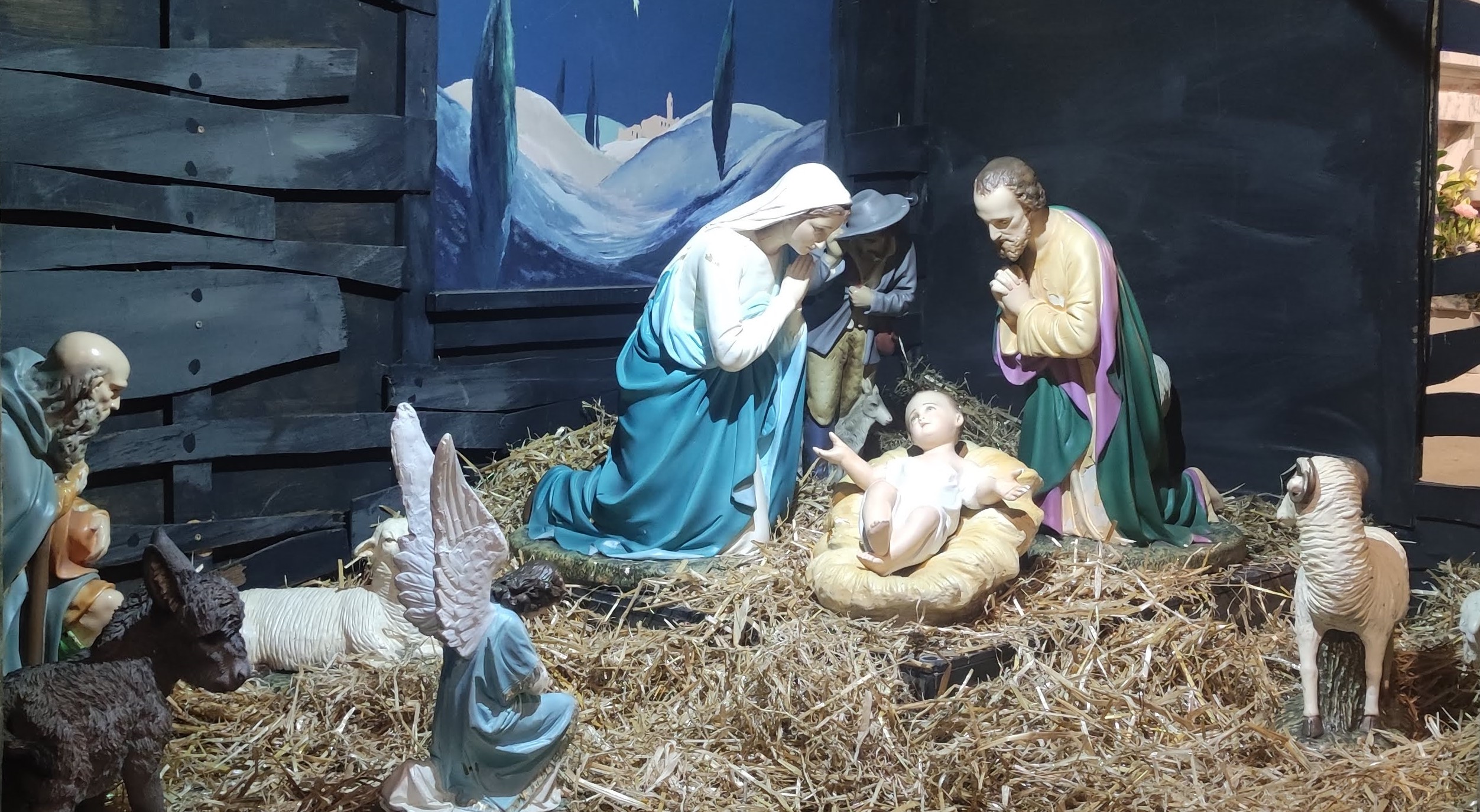 Mass of Christmas Night (with Choir & Organ) (St Joseph’s)